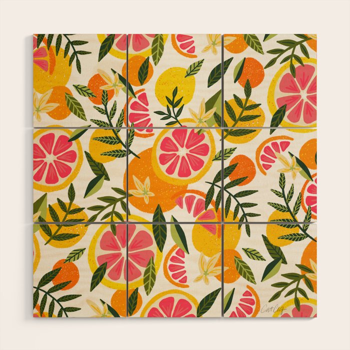 Grapefruit Blooms â Pink & White Wood Wall Art Gallery Image 1