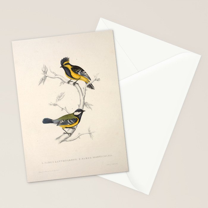 Himalayan black-lored tit and green-backed tit by Elizabeth Gould, 1831 Stationery Card Gallery Image 2