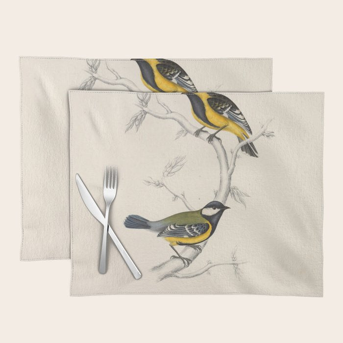 Himalayan black-lored tit and green-backed tit by Elizabeth Gould, 1831 Placemat Gallery Image 1
