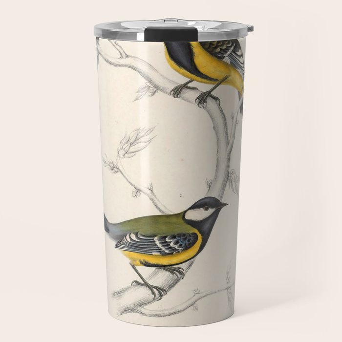 Himalayan black-lored tit and green-backed tit by Elizabeth Gould, 1831 Travel Mug Gallery Image 1