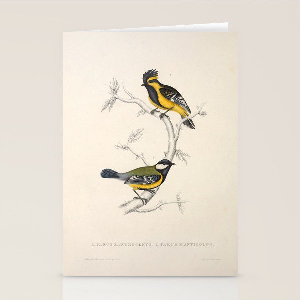 Himalayan black-lored tit and green-backed tit by Elizabeth Gould, 1831 Stationery Card Gallery Image 2