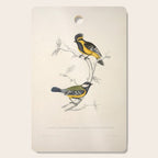 Himalayan black-lored tit and green-backed tit by Elizabeth Gould, 1831 Cutting Board Gallery Image 1