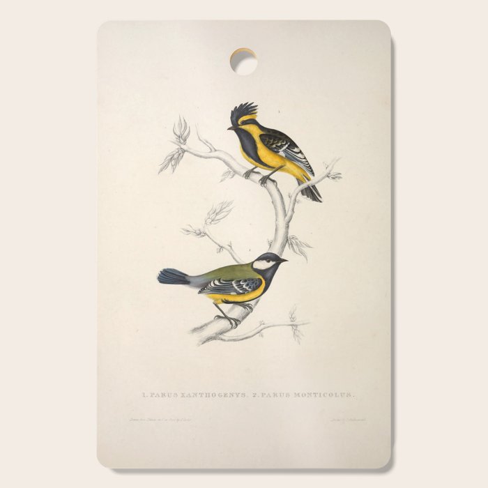 Himalayan black-lored tit and green-backed tit by Elizabeth Gould, 1831 Cutting Board Gallery Image 1