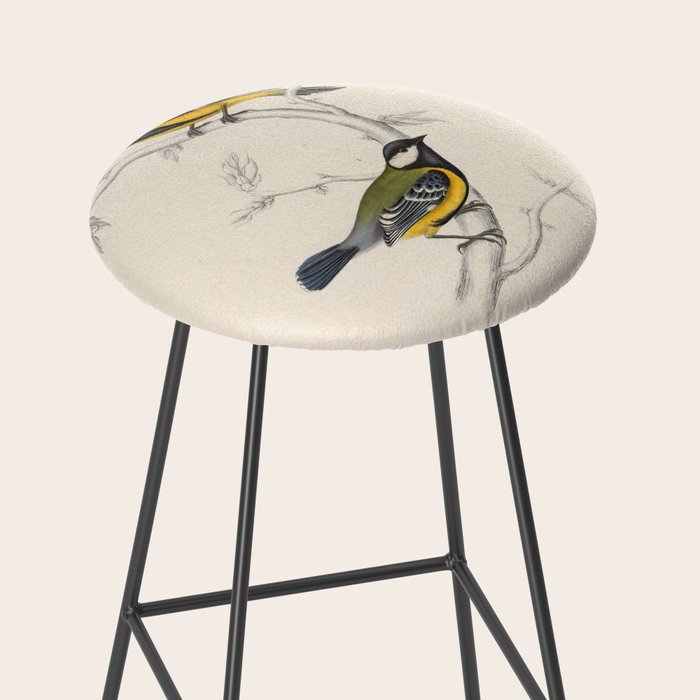 Himalayan black-lored tit and green-backed tit by Elizabeth Gould, 1831 Stool Gallery Image 2