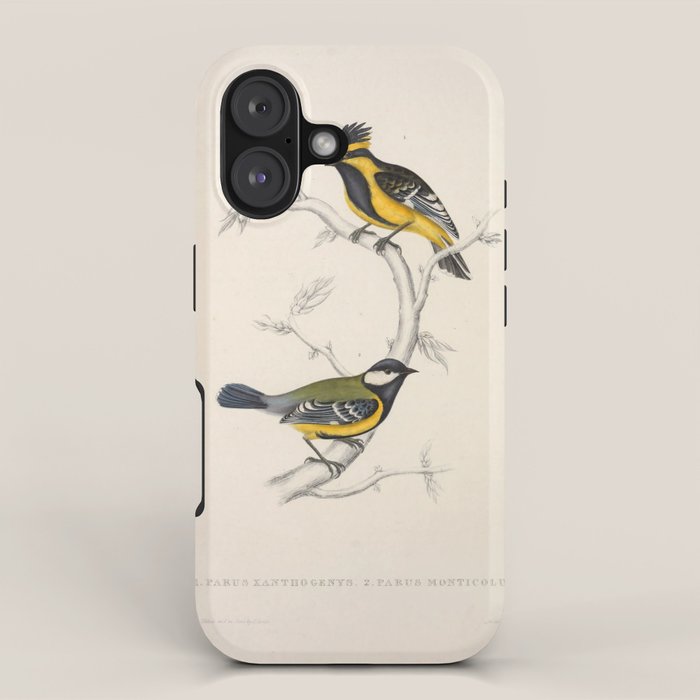 Himalayan black-lored tit and green-backed tit by Elizabeth Gould, 1831 iPhone Case Gallery Image 1