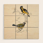 Himalayan black-lored tit and green-backed tit by Elizabeth Gould, 1831 Wood Wall Art Gallery Image 1
