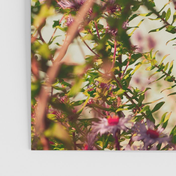 Carefree Poster Gallery Image 3