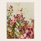 Carefree Poster Gallery Image 4
