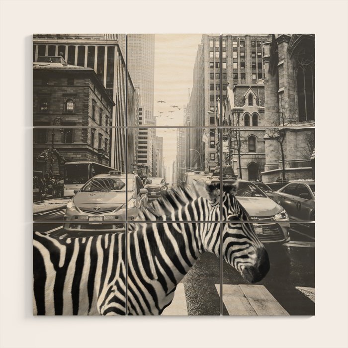 Zebra In The City - Black And White Photography Collage Wood Wall Art Gallery Image 1