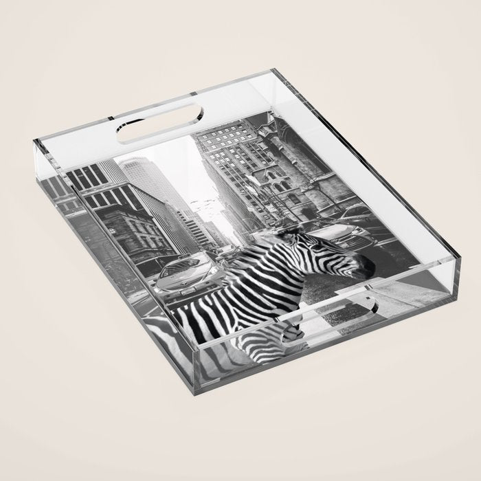 Zebra In The City - Black And White Photography Collage Acrylic Tray Gallery Image 1