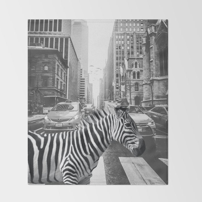 Zebra In The City - Black And White Photography Collage Throw Blanket Gallery Image 2