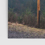 Torii Gate Poster Gallery Image 3