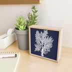 Sea Fan Coral - White on Navy Mini Art Print Gallery Image 2
