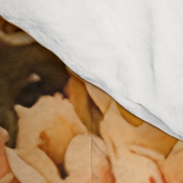 Orange Amarantis  Comforter Gallery Image 4