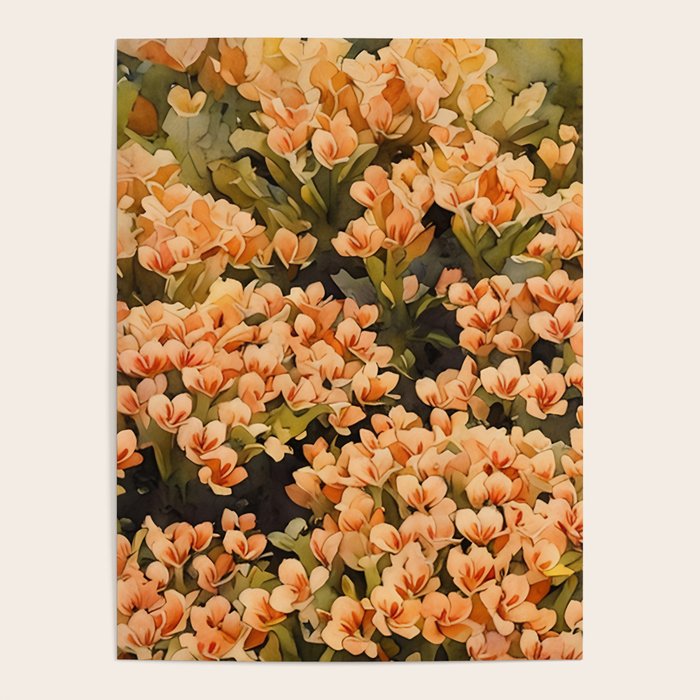 Orange Amarantis  Poster Gallery Image 4