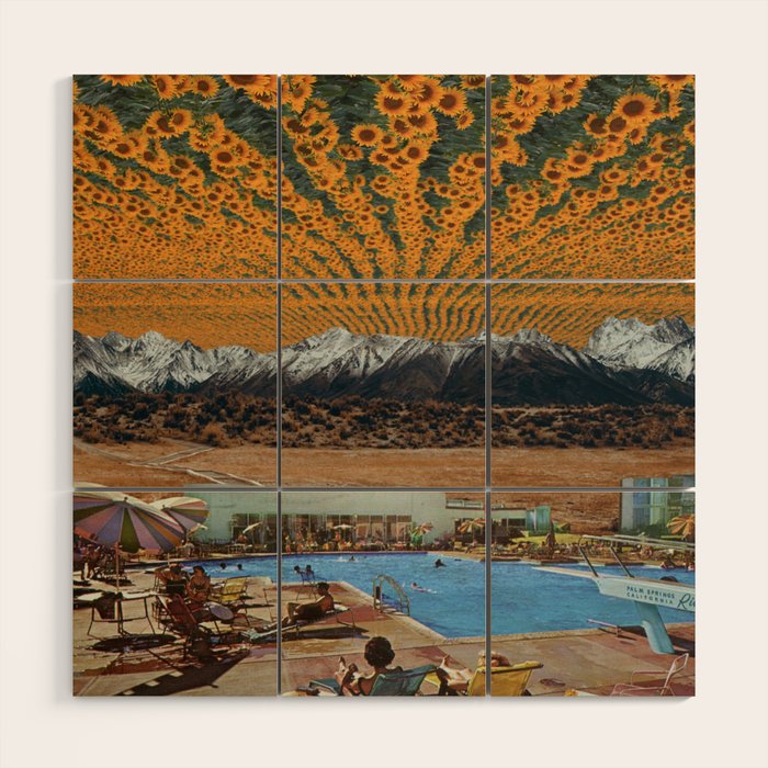 Sunny side up Wood Wall Art Gallery Image 1