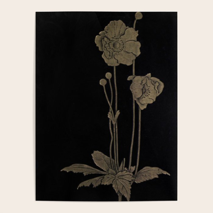 Black And Gold Poppies Poster Gallery Image 1