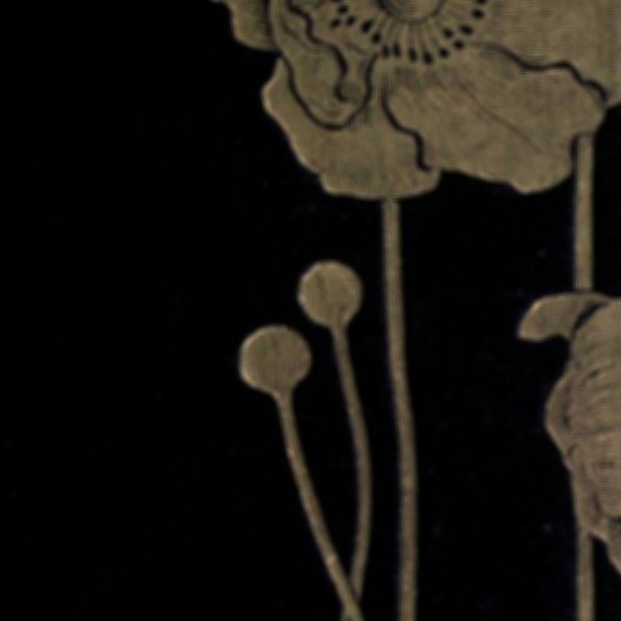 Black And Gold Poppies Coffee Mug Gallery Image 2