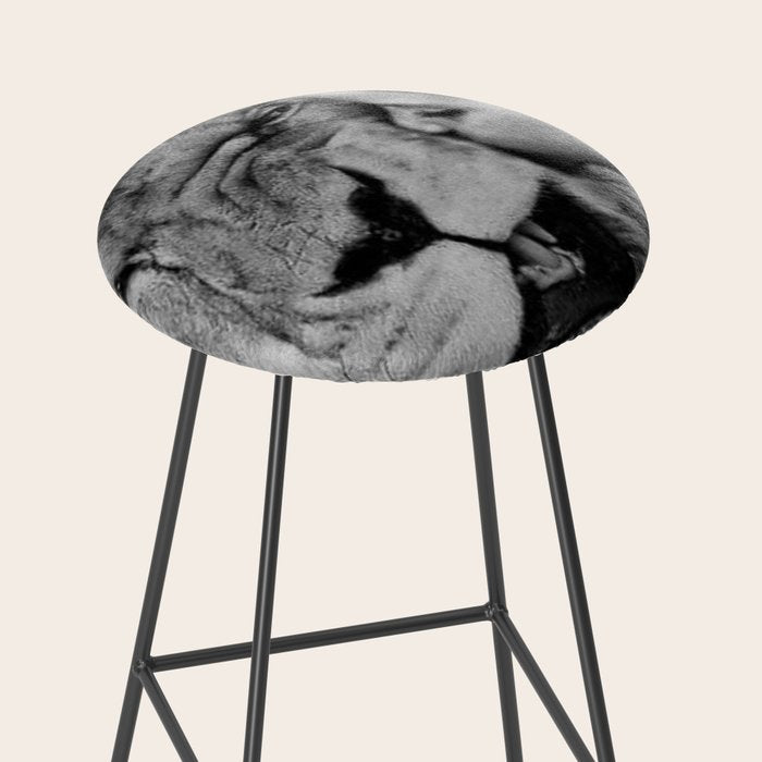 Grouchy Lion being kissed by brunette girl black and white photography Stool Gallery Image 2