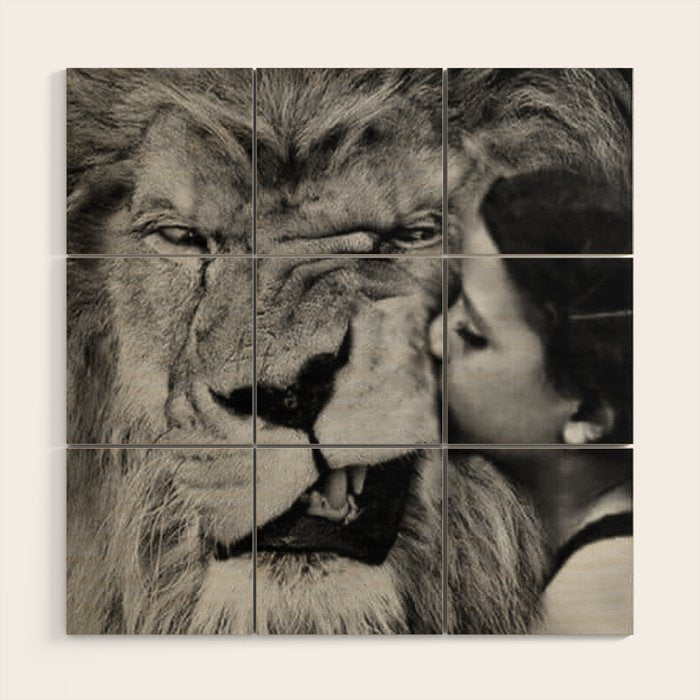 Grouchy Lion being kissed by brunette girl black and white photography Wood Wall Art Gallery Image 1