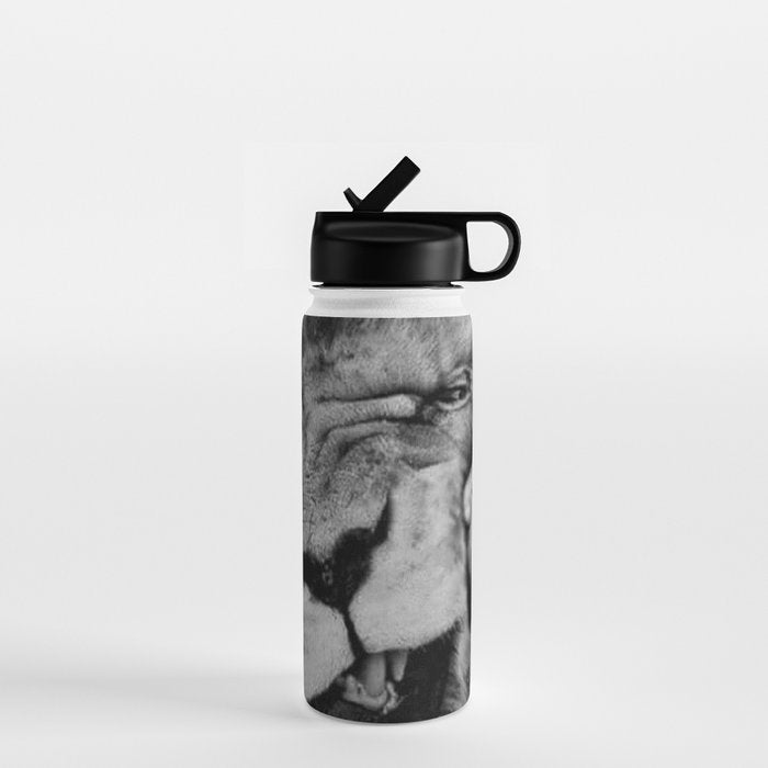 Grouchy Lion being kissed by brunette girl black and white photography Water Bottle Gallery Image 1