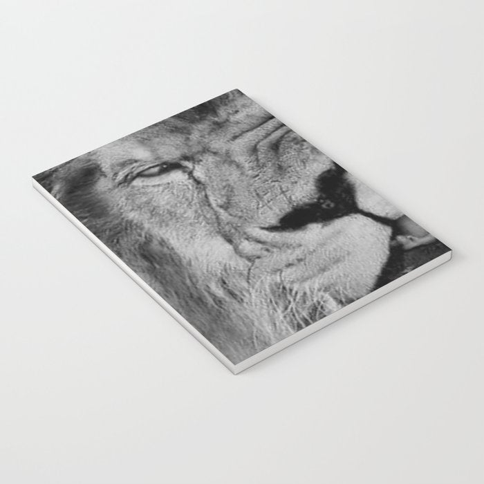 Grouchy Lion being kissed by brunette girl black and white photography Notebook Gallery Image 3