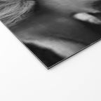 Grouchy Lion being kissed by brunette girl black and white photography Welcome Mat Gallery Image 2