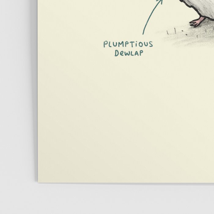 Anatomy of a Guinea Pig Poster Gallery Image 3