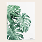 Watercolor monstera leaves Poster Gallery Image 4