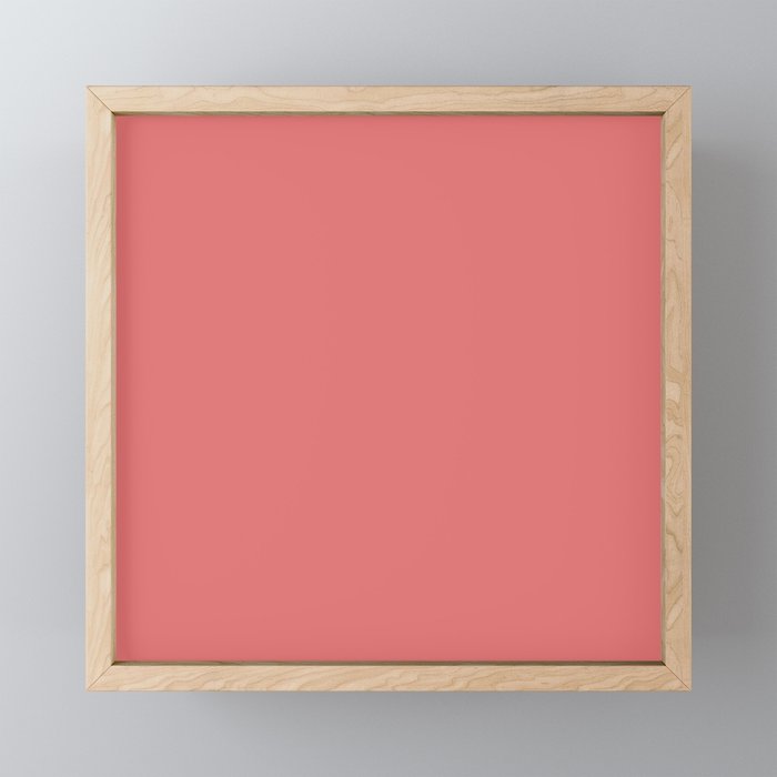 Boca Solid Shades - Dusty Rose Mini Art Print Gallery Image 1