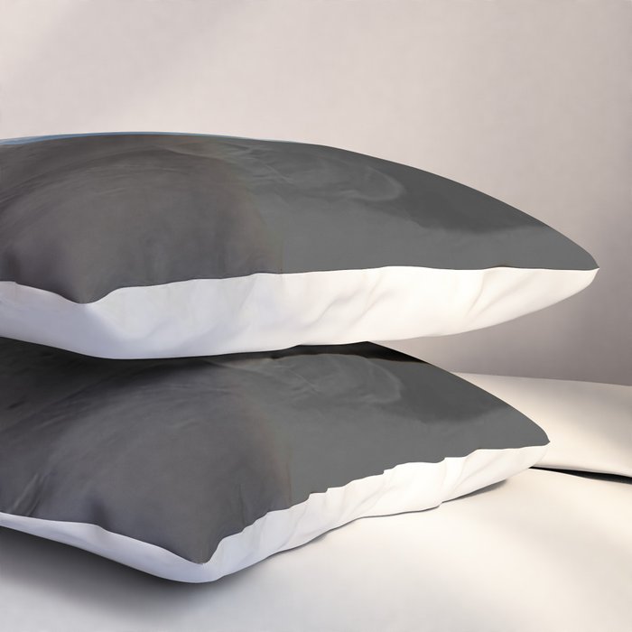 Inside 2 Pillow Sham Gallery Image 3