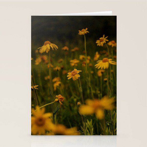 Front Range Flora II Stationery Card Gallery Image 2