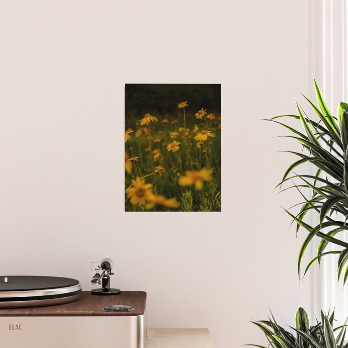 Front Range Flora II Poster Gallery Image 2