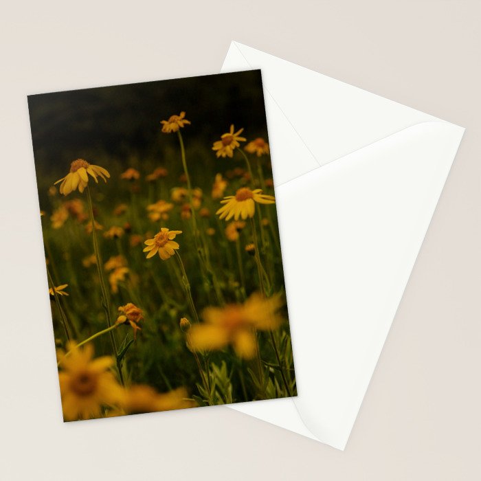 Front Range Flora II Stationery Card Gallery Image 2