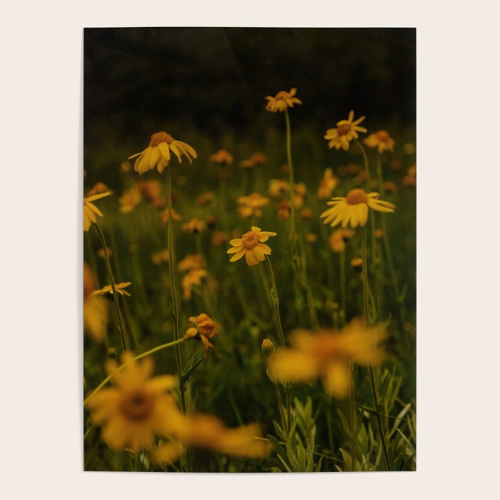 Front Range Flora II Poster Gallery Image 4