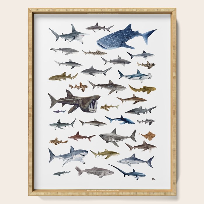SHARKS poster-white Serving Tray Gallery Image 1
