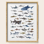 SHARKS poster-white Serving Tray Gallery Image 1