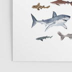 SHARKS poster-white Poster Gallery Image 3
