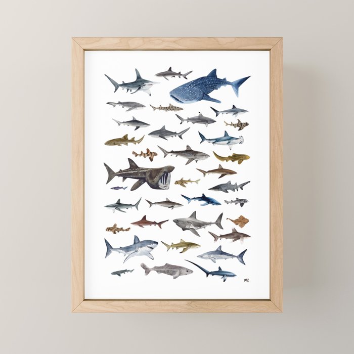 SHARKS poster-white Mini Art Print Gallery Image 1