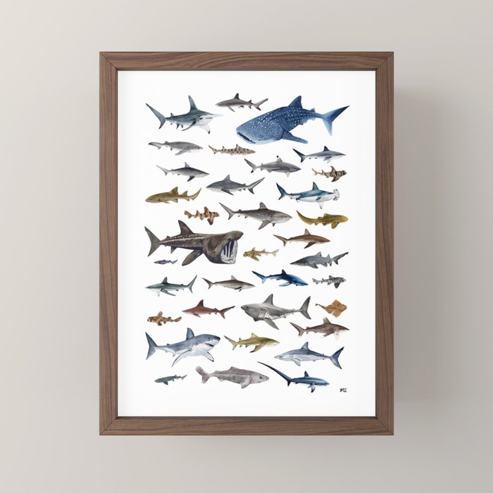 SHARKS poster-white Mini Art Print Gallery Image 2