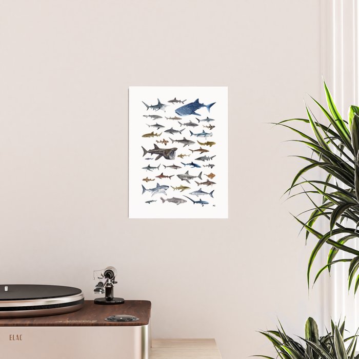 SHARKS poster-white Poster Gallery Image 2