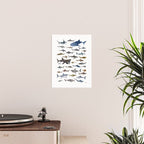 SHARKS poster-white Poster Gallery Image 2
