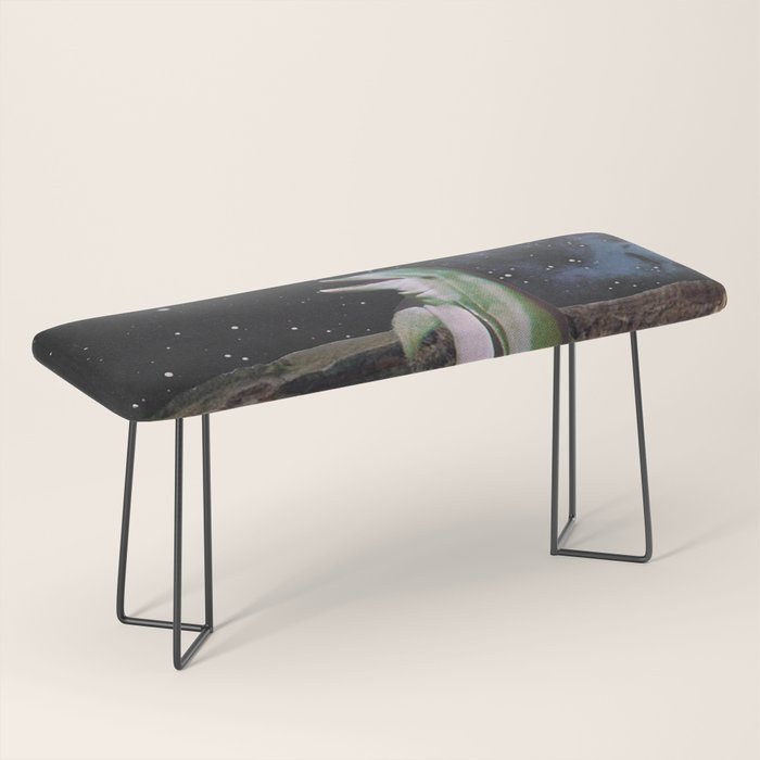 Planet Dolphin Bench Gallery Image 1