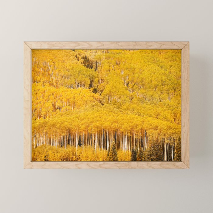 Colorado Gold Rush Mini Art Print Gallery Image 1