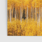 Colorado Gold Rush Poster Gallery Image 3