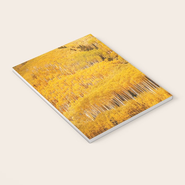 Colorado Gold Rush Notebook Gallery Image 3