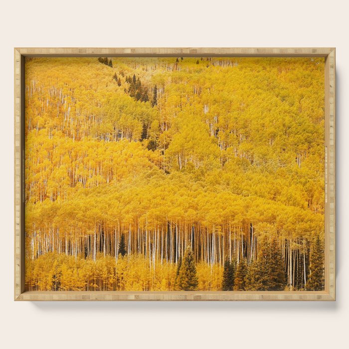 Colorado Gold Rush Serving Tray Gallery Image 1
