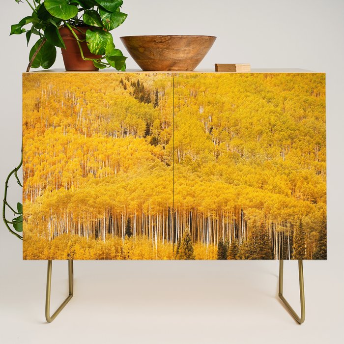 Colorado Gold Rush Credenza Gallery Image 1