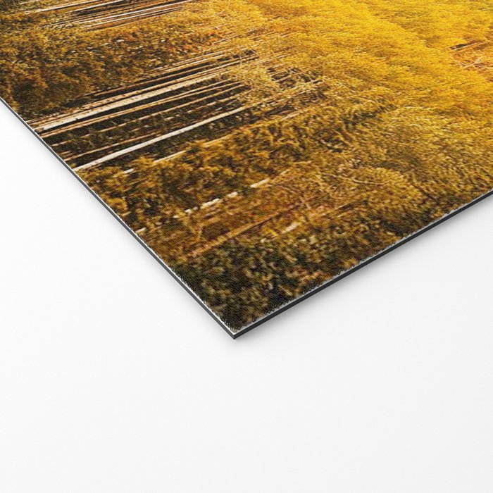 Colorado Gold Rush Welcome Mat Gallery Image 2