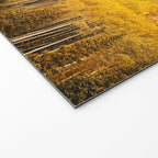 Colorado Gold Rush Welcome Mat Gallery Image 2